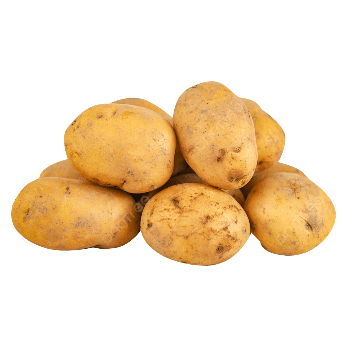 Potato
